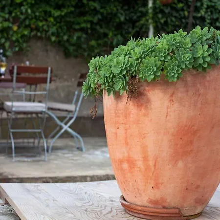 Апартаменты Maro & Baro - One Bedroom With Terrace Orfej *