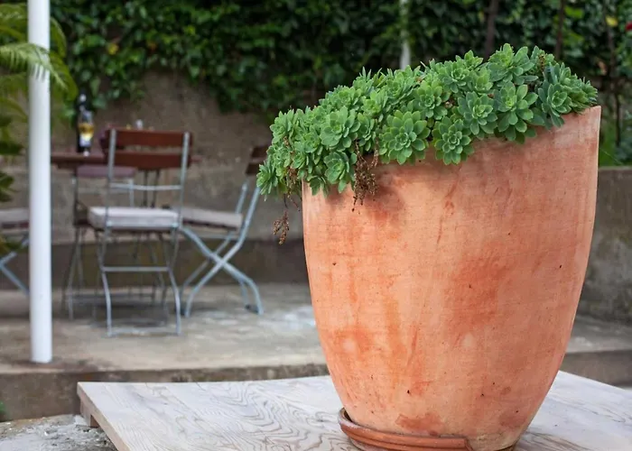 Apartman Maro & Baro - One Bedroom With Terrace Orfej *